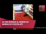 Captan ardillas robando chocolates
