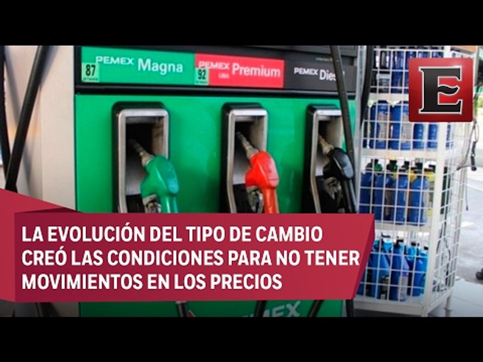 Se mantendrán los precios de las gasolinas por lo menos 15 dias más