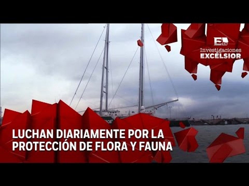 Guerrero del Arcoíris Tercera Entrega: La lucha por la protección del medio ambiente