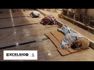 Centro comercial abre sus puertas para que perritos no pasen frío WB