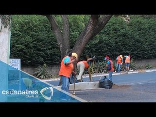 Mitos y Ritos: Brigadas de limpia en el DF