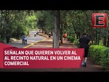 Denuncian tala masiva de árboles en Bosque de Tlalpan