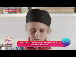 ¿Por qué el cuerpo aguanta la sed y el hambre pero no el sueño? | Sale el Sol