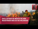 Cientos de hectáreas han sido consumidas por incendios forestales