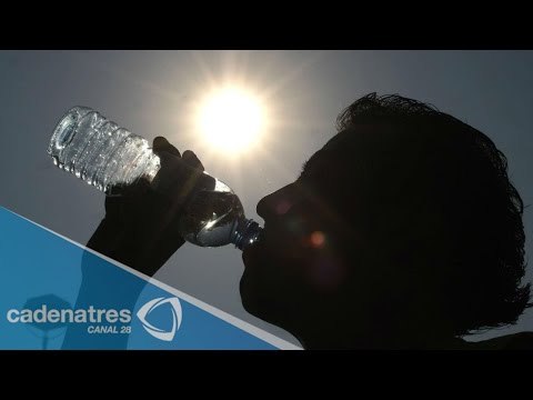 Cómo evitar un evitar un golpe de calor en estos tiempos de altas temperaturas