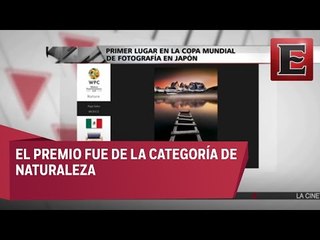 Mexicano gana copa mundial de fotografía 2017 en Japón