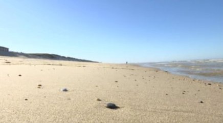 L'été se poursuit dans le Sud-Ouest