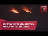 Brigadistas capitalinos combaten incendio en el Ajusco