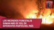 Continúa emergencia en Chile por incendios forestales