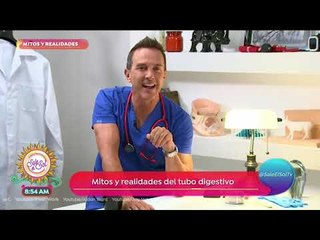 Mitos y realidades del tubo digestivo | Sale el Sol