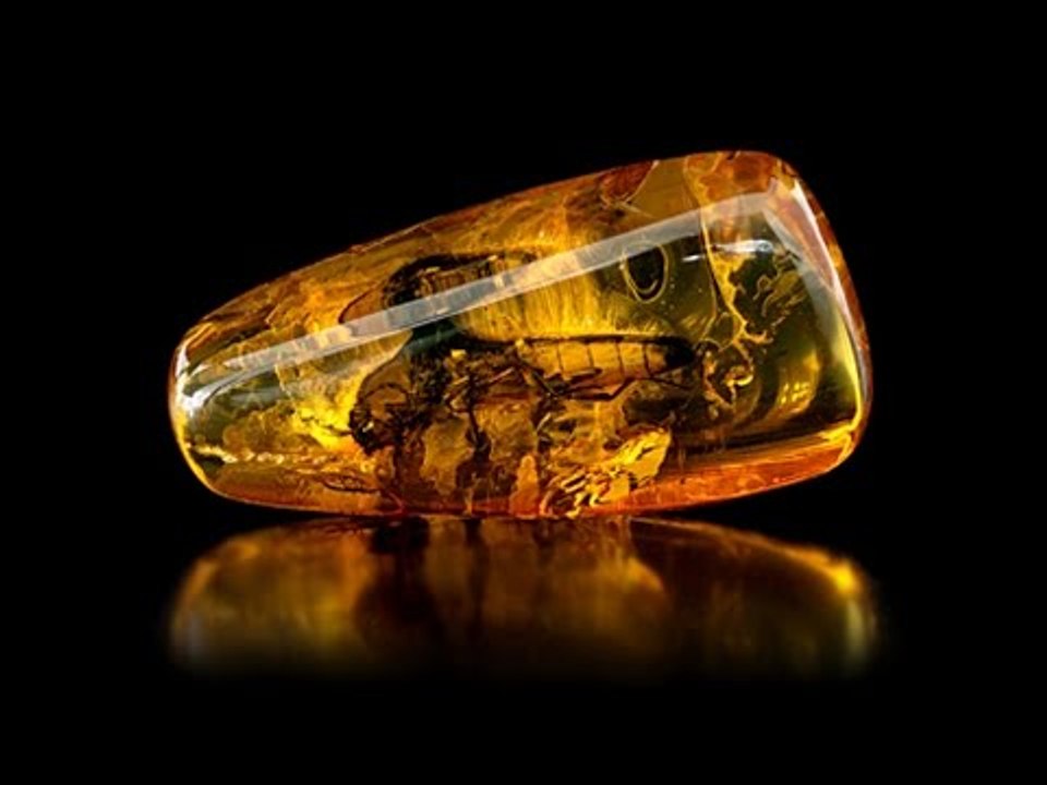 San Cristóbal de las Casas, Chiapas, capital mexicana de la joyería de ámbar