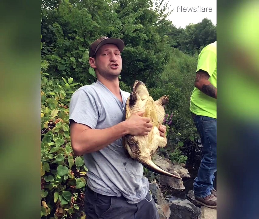 Watch if you want lots of laugh-out-loud moments 