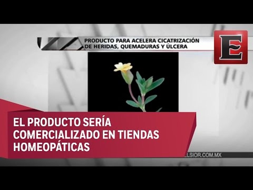 Desarrollan producto que acelera cicatrización