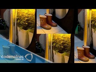 Marihuana medicinal cambiará la vida a niña con epilepsia