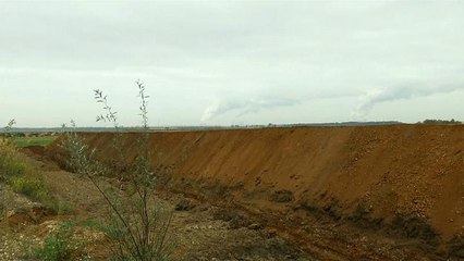 "Ein guter Tag für die Natur":  Hambacher Forst wird nicht gerodet