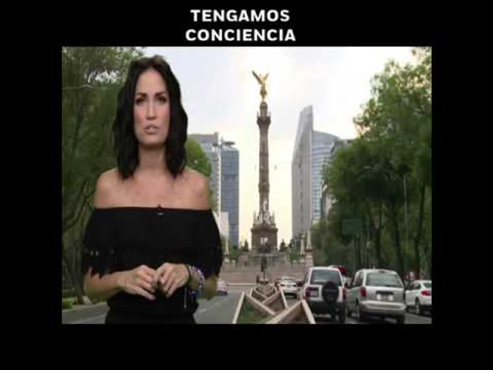 '¿Es más importante tu teléfono que tu vida?', en opinión de Joanna Vega-Biestro