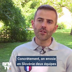 Trois questions pour comprendre la réintroduction des ours en France