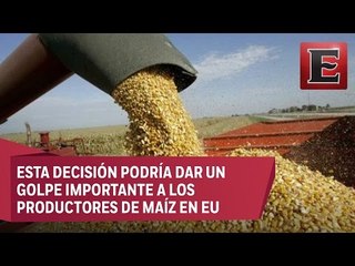 México analiza la posibilidad de comprar maíz a Brasil y Argentina