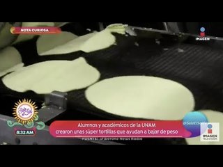 Nota curiosa: Tortillas para adelgazar creadas por la UNAM | Sale el Sol