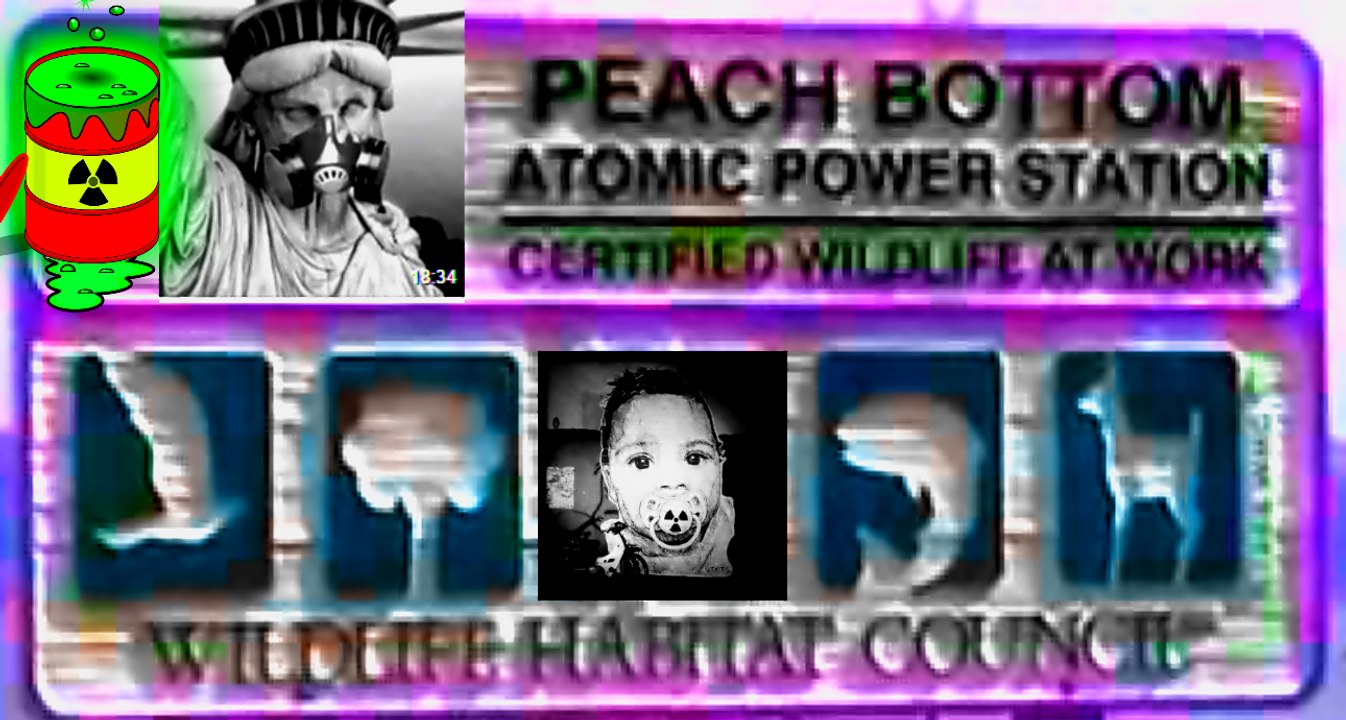 PEACH BOTTOM BOIL BELOW 1 INCH HOT SHUTDOWN HIGH RADIATION CO ME NY MI
