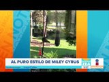 ¡Ardilla copia a Miley Cyrus! | Noticias con Paco Zea