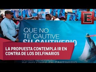 PVEM lanza iniciativa para proteger a los animales marinos