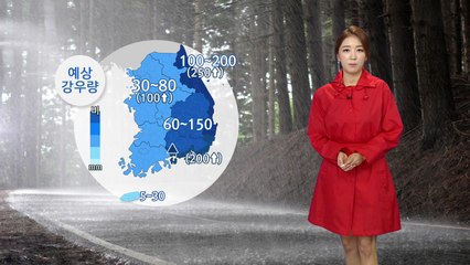 [날씨] 태풍 서귀포 해상 통과 중...돌풍 동반한 '폭우' 주의 / YTN