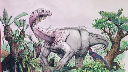 Um gigante no sul da África