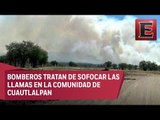 Autoridades del Edomex intentan sofocar incendios forestales
