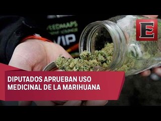 Aprueban uso medicinal de la marihuana