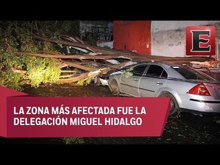 Tromba en la CDMX deja árboles y postes caídos