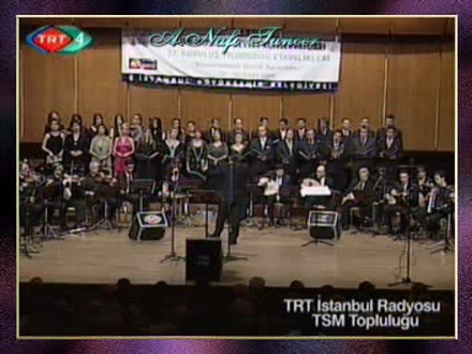 TRT İSTANBUL RADYOSU TSM TOPLULUĞU - Kanatları Gümüş Yavru Bir Kuş