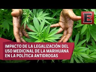 Preguntas sin respuesta por legalización del uso medicinal de la marihuana
