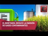 Autoridades federales impulsan el uso de biocombustibles en México