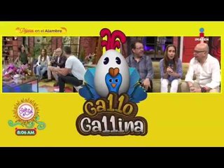 Marta Guzmán, Mauricio Castillo y Jurgan estarán en nueva sección Gallo Gallina | Sale el Sol