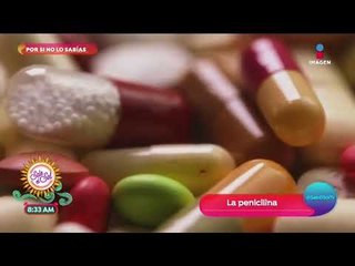 Por si no lo sabías: la penicilina fue descubierta por accidente | Sale el Sol