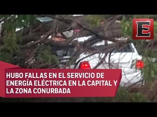 Fuerte lluvia en Oaxaca provoca caída de árboles