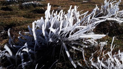 Joachim Claucig - Endless Waiting