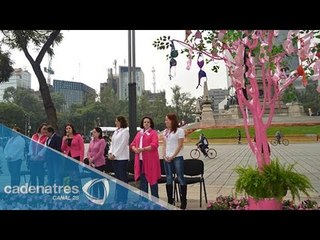 Árbol Rosa", campaña contra el cáncer de mama