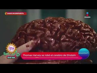 Casos sin respuesta: ¡vendían el cerebro de Einstein para estudiarlo! | Sale el Sol
