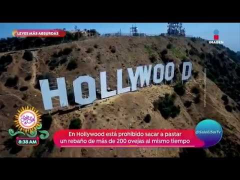 ¡Las leyes más absurdas del mundo! | Sale el Sol