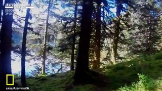 Ultimate Survival Alaska S03 - Ep08 Savage Waters HD Watch