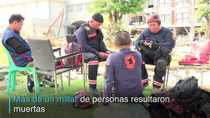 Perros rescatistas en Indonesia