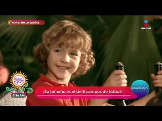 Por si no lo sabías: el parque acuático interior más grande del mundo | Sale el Sol