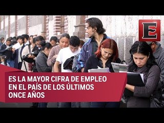 Análisis de las cifras de empleo en México