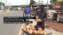 Meet Alpha Kamara, coconut vendor in Koidu, #Kono District. He tells us how proper use of insecticide-treated bed nets has helped his family stay healthy. #Ta