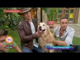 Las razas de perros que mejor conviven con niños | Sale el Sol