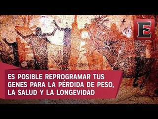 Conoce los mandamientos del cavernícola de Mark Sisson