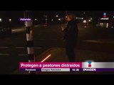 Semáforos en Holanda protegen a peatones despistados