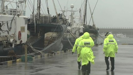 다가오는 태풍...비바람 거세지고 있는 울산 / YTN